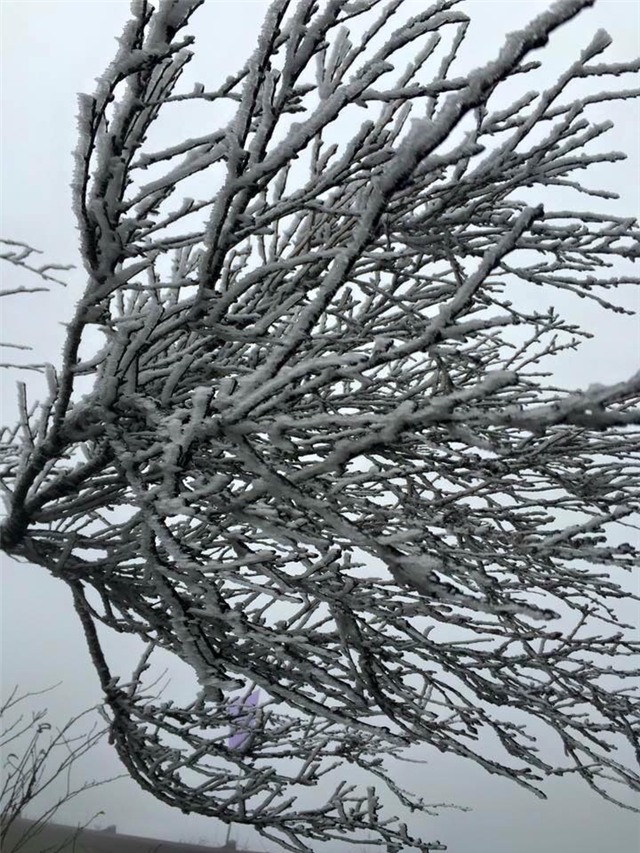 băng tuyết, tuyết, rét kỷ lục, Mẫu Sơn, Sa Pa