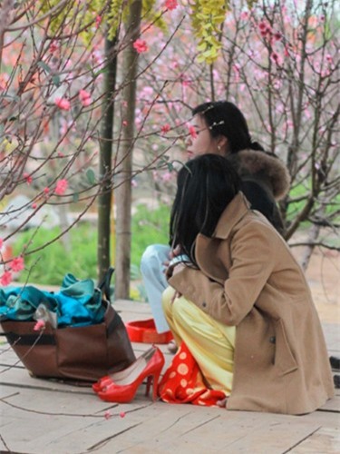 chụp ảnh, giá rét, ngáo ảnh, Hà Nội,