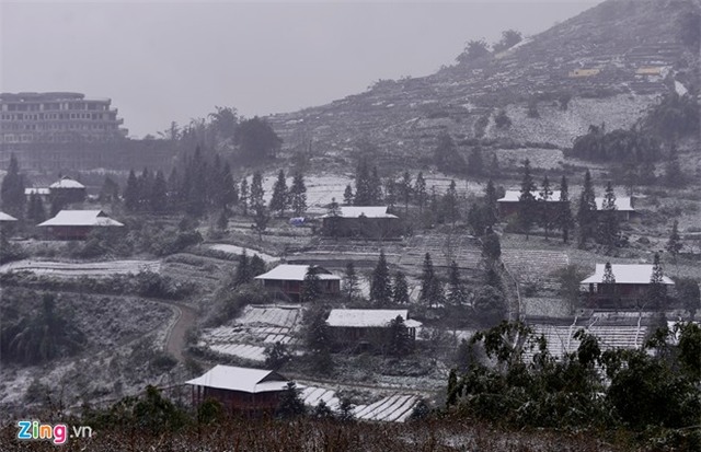 Nông dân thiệt hại tiền tỷ sau mưa tuyết