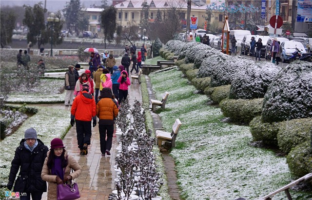 Tuyết phủ Mẫu Sơn, Sa Pa