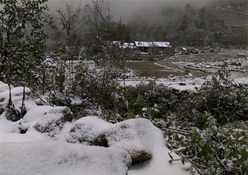 tuyet-roi-blogtamsu (2)