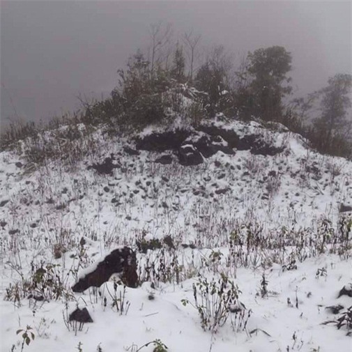 tuyet-roi-blogtamsu (8)