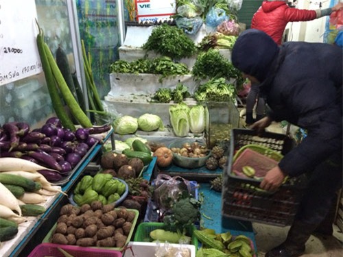 cháy hàng, hà nội, rét đậm, rét nhất trong lịch sử, xếp hàng, chờ mua, từ chối khách, thực phẩm online, tích trữ, thực phẩm, cháy-hàng, hà-nội, rết-đậm, rét-nhất-trong-lịch-sử, xếp-hàng, chờ-mua, từ-chối-khách, thực-phẩm-online, tích-trữ, thực-thực-phẩm