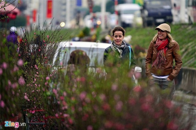 Chợ hoa đào Tết nhộn nhịp những ngày rét đậm