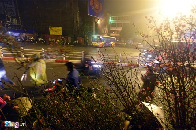 Chợ hoa đào Tết nhộn nhịp những ngày rét đậm