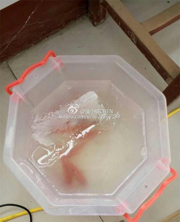 Những hình ảnh lạnh không thể tin nổi chỉ có ở Trung Quốc - Ảnh 12.