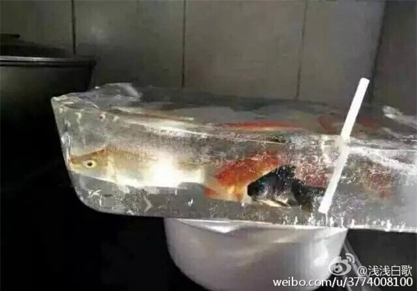 Những hình ảnh lạnh không thể tin nổi chỉ có ở Trung Quốc - Ảnh 13.