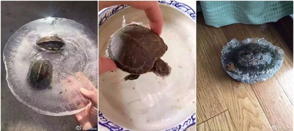 Những hình ảnh lạnh không thể tin nổi chỉ có ở Trung Quốc - Ảnh 14.