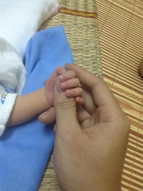 bố đơn thân, xin sữa, sữa mẹ