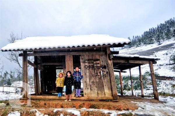 Người Sa Pa không nghèo và cũng chẳng chết rét vì tuyết rơi 12