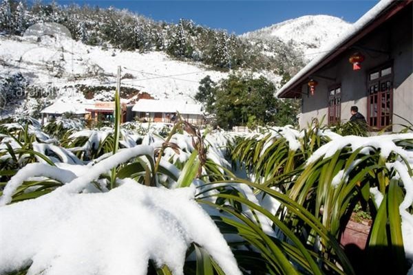 Người Sa Pa không nghèo và cũng chẳng chết rét vì tuyết rơi 17