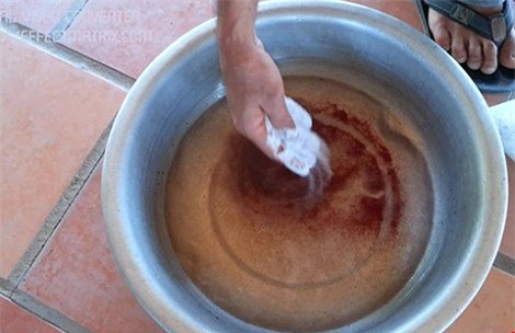 Thạnh Hóa, Long An, nông dân, nuôi cá, cá trê trắng, thành vàng, gói bột nhỏ, không nhãn mác