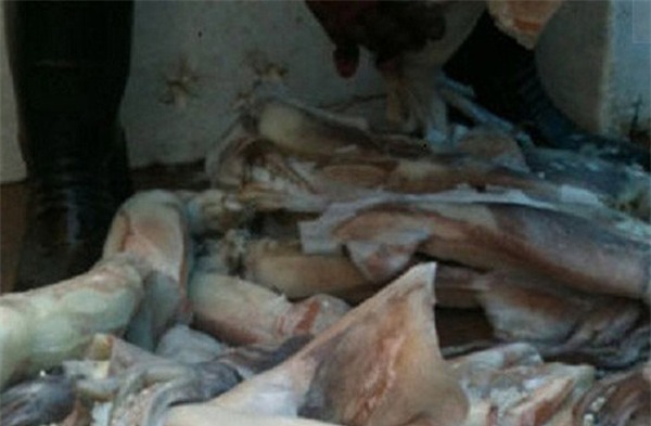 mực tươi, mực bẩn, mực đông lạnh