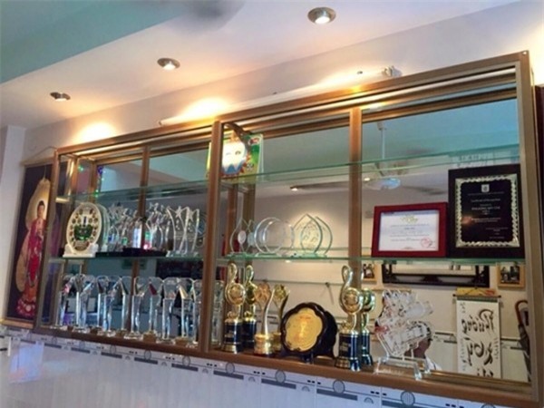 phuong-chi-tu-hien-tuong-dan-ca-den-nghe-si-tre-da-nang-cua-showbiz-viet-blogtamsuvn04