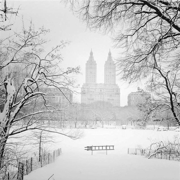 New York đẹp như thiên đường trong cơn bão tuyết - Ảnh 16.
