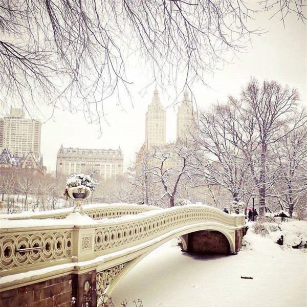 New York đẹp như thiên đường trong cơn bão tuyết - Ảnh 6.