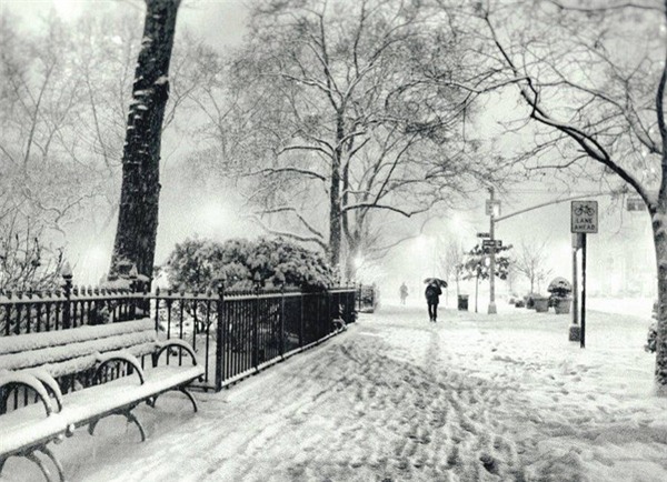 New York đẹp như thiên đường trong cơn bão tuyết - Ảnh 8.