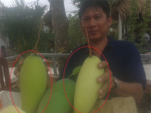 thực phẩm độc, phòng sâu bệnh