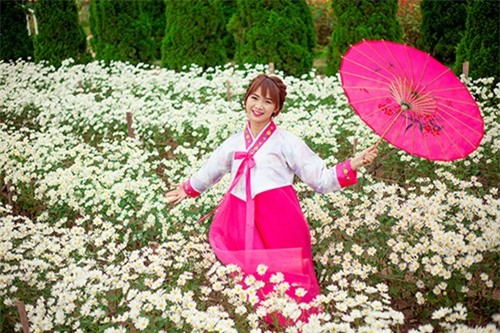 Nữ sinh Hà thành khoe sắc xuân với hanbook - ảnh 1