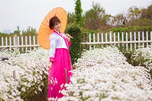 Nữ sinh Hà thành khoe sắc xuân với hanbook - ảnh 4