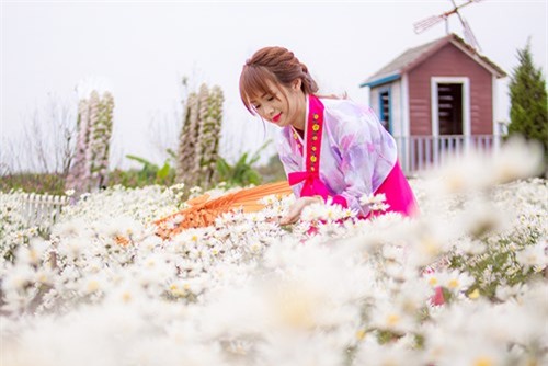 Nữ sinh Hà thành khoe sắc xuân với hanbook - ảnh 5