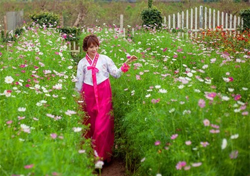 Nữ sinh Hà thành khoe sắc xuân với hanbook - ảnh 6