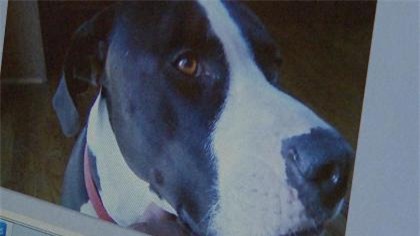 Canh sat den 6 ty vi ban chet cho cua dan