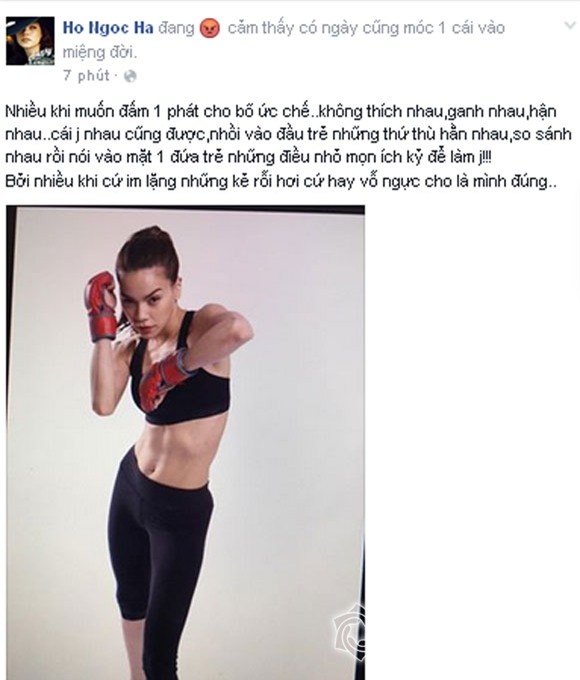 Hà Hồ tỏ lời bức xúc 0