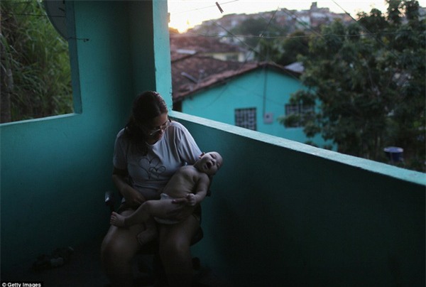 Chùm ảnh: Dịch bệnh Zika đầu nhỏ - nỗi khiếp sợ của toàn thế giới - Ảnh 23.