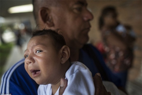 Chùm ảnh: Dịch bệnh Zika đầu nhỏ - nỗi khiếp sợ của toàn thế giới - Ảnh 25.