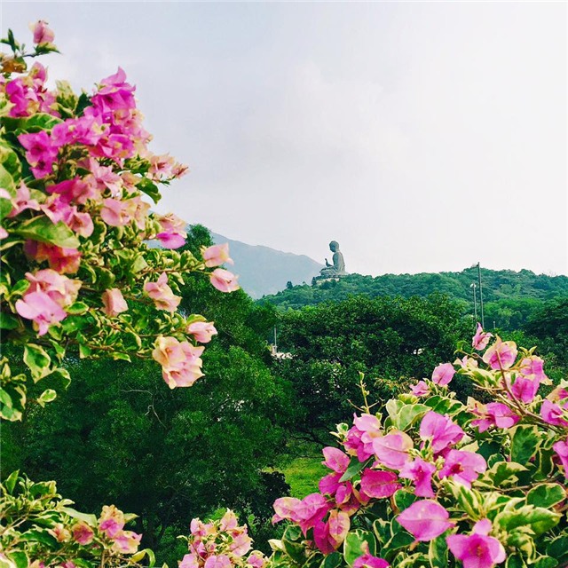 Kinh nghiệm, du lịch, Hồng Kông, 15 triệu đồng