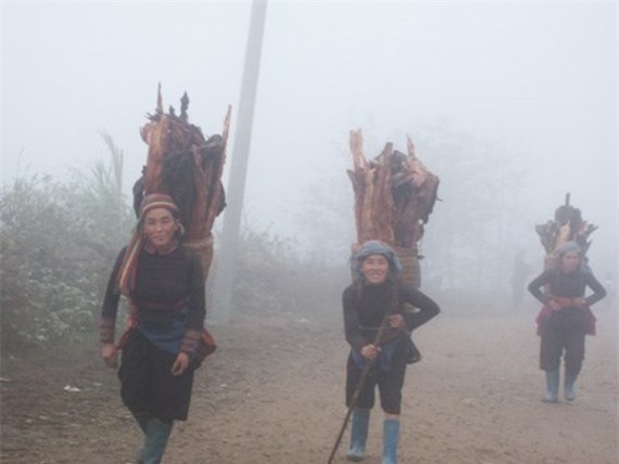 thoi tiet hom nay - 1