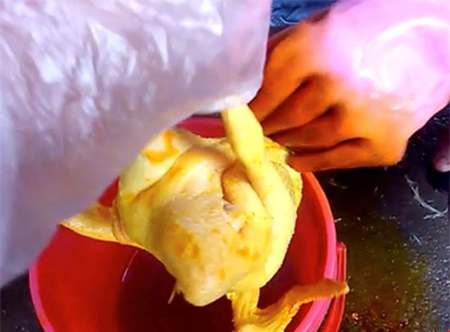 meo nhan biet ga ta, ga tam bot sat, ga thai loai tq - 2