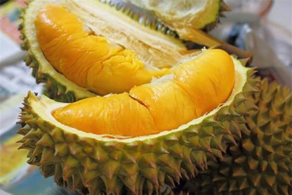sau rieng - vi thuoc giup lua doi them man nong hinh anh 1
