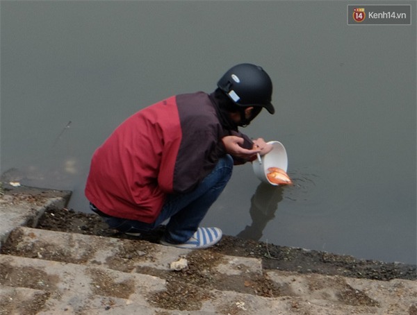Hà Nội: Cá chép vừa thả để về trời đã bị quây vợt bắt lại - Ảnh 3.