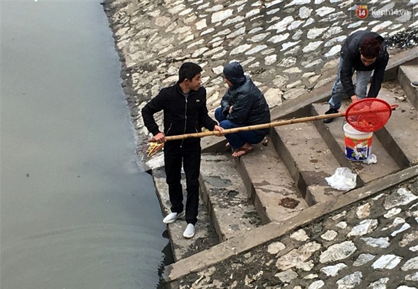 Hà Nội: Cá chép vừa thả để về trời đã bị quây vợt bắt lại - Ảnh 6.