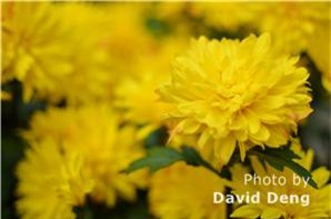 10 vat pham kieng ki tang ngay tet - 3