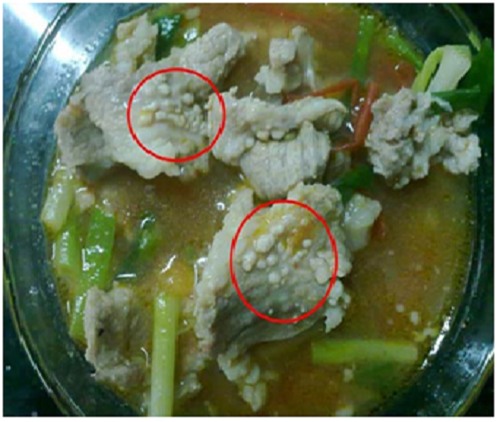 Chung nhau mổ lợn đón Tết - nguy cơ nhiễm sán cao