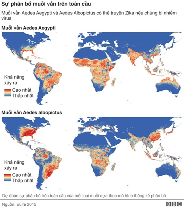 Zika, virus, bùng phát, WHO, họp khẩn