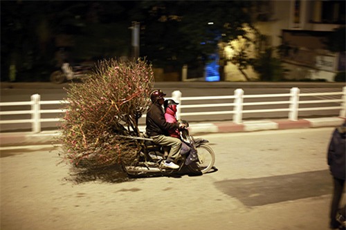 cho hoa dao dem nhon nhip ngay cuoi nam - 10