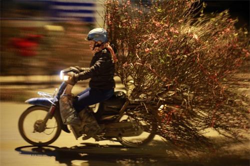 cho hoa dao dem nhon nhip ngay cuoi nam - 11