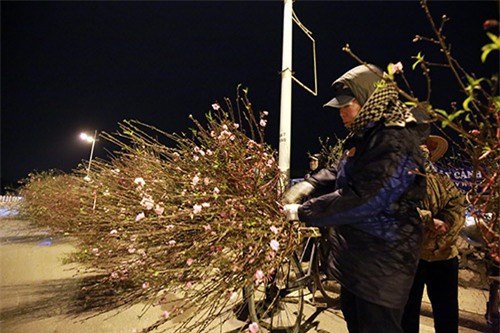 cho hoa dao dem nhon nhip ngay cuoi nam - 12