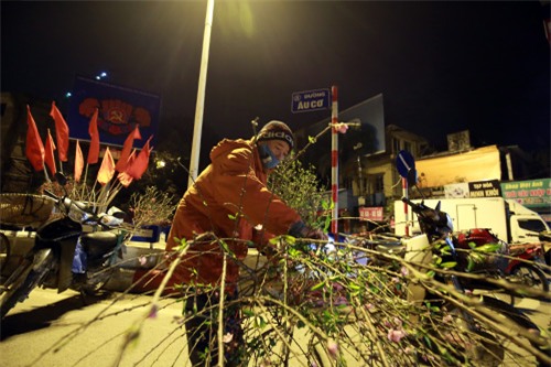 cho hoa dao dem nhon nhip ngay cuoi nam - 13