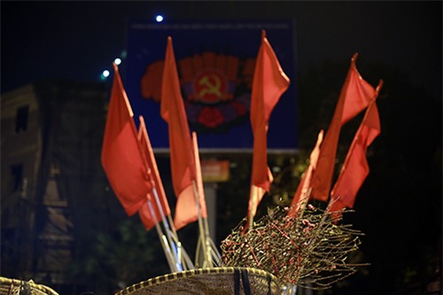 cho hoa dao dem nhon nhip ngay cuoi nam - 16