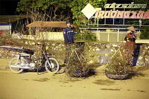 cho hoa dao dem nhon nhip ngay cuoi nam - 3