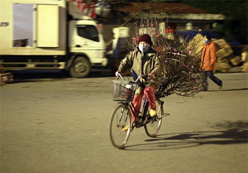 cho hoa dao dem nhon nhip ngay cuoi nam - 4