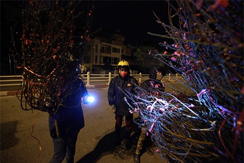 cho hoa dao dem nhon nhip ngay cuoi nam - 8