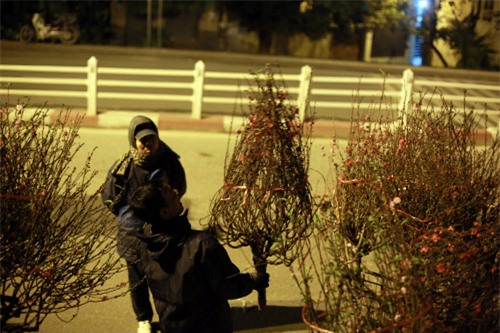 cho hoa dao dem nhon nhip ngay cuoi nam - 9