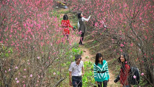 thời tiết Tết, Tết Nguyên Đán, Bính Thân, rét đậm