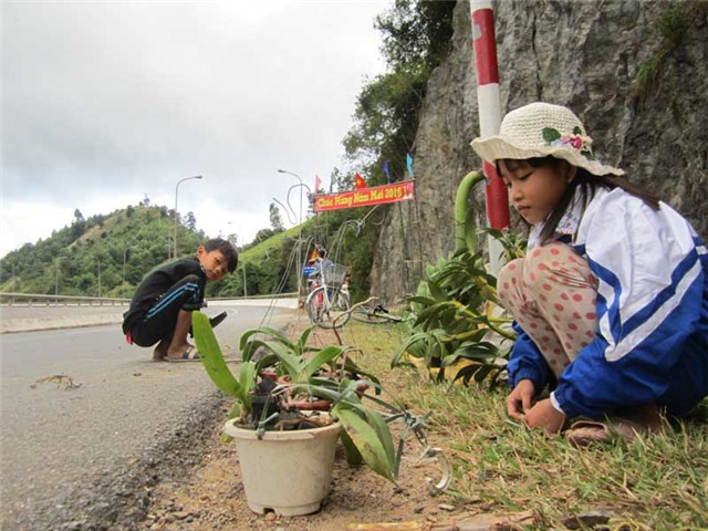 anh: nguoi vung cao "vac" nong san ra cho kiem tet hinh anh 10